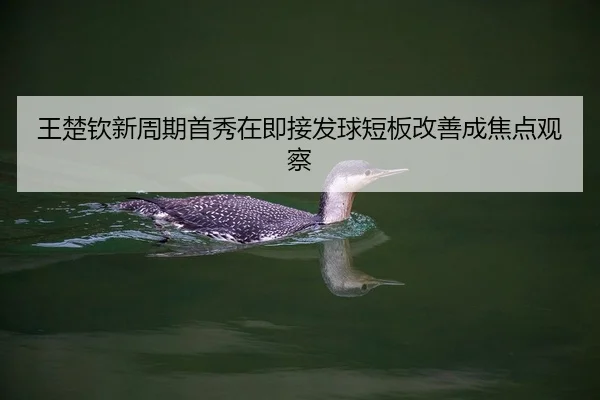 王楚钦新周期首秀在即接发球短板改善成焦点观察