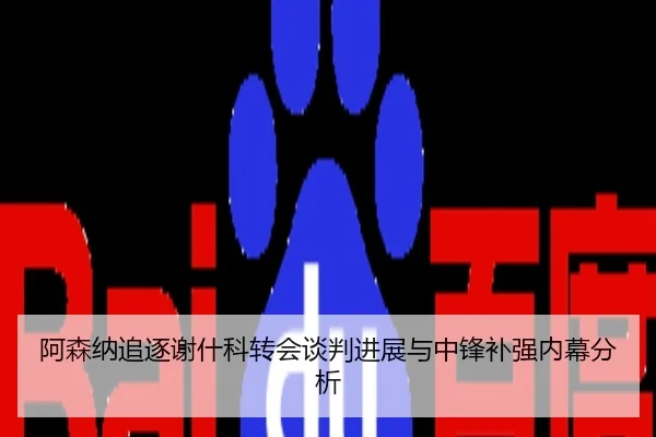 阿森纳追逐谢什科转会谈判进展与中锋补强内幕分析