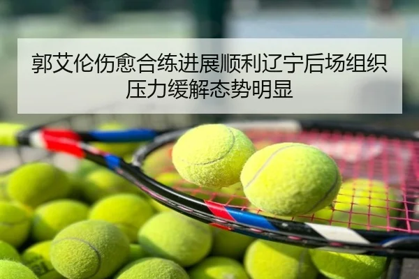 郭艾伦伤愈合练进展顺利辽宁后场组织压力缓解态势明显